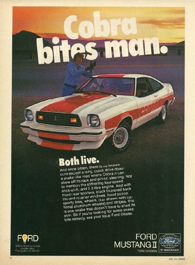1975 Ford Mustang vintage auto ad; Cobra bites man 1975 Ford Mustang vintage auto ad; Cobra bites man